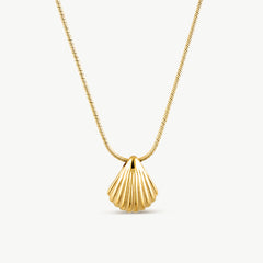 Shell Gold Necklace
